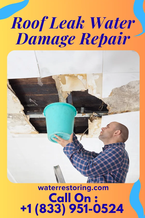 Roof Leak Water Damage Repair in Hays, TX